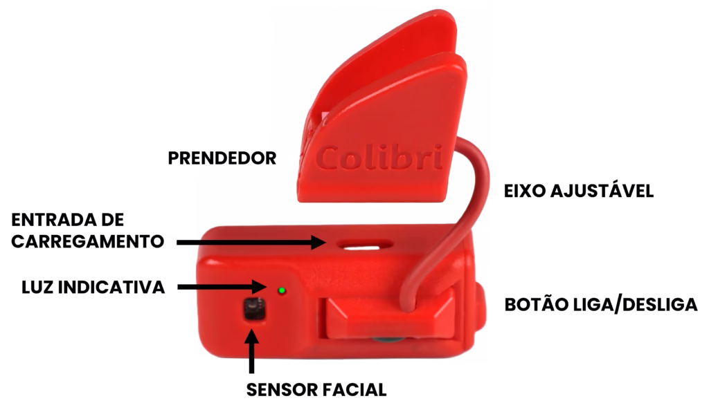 Anatomia do Colibri